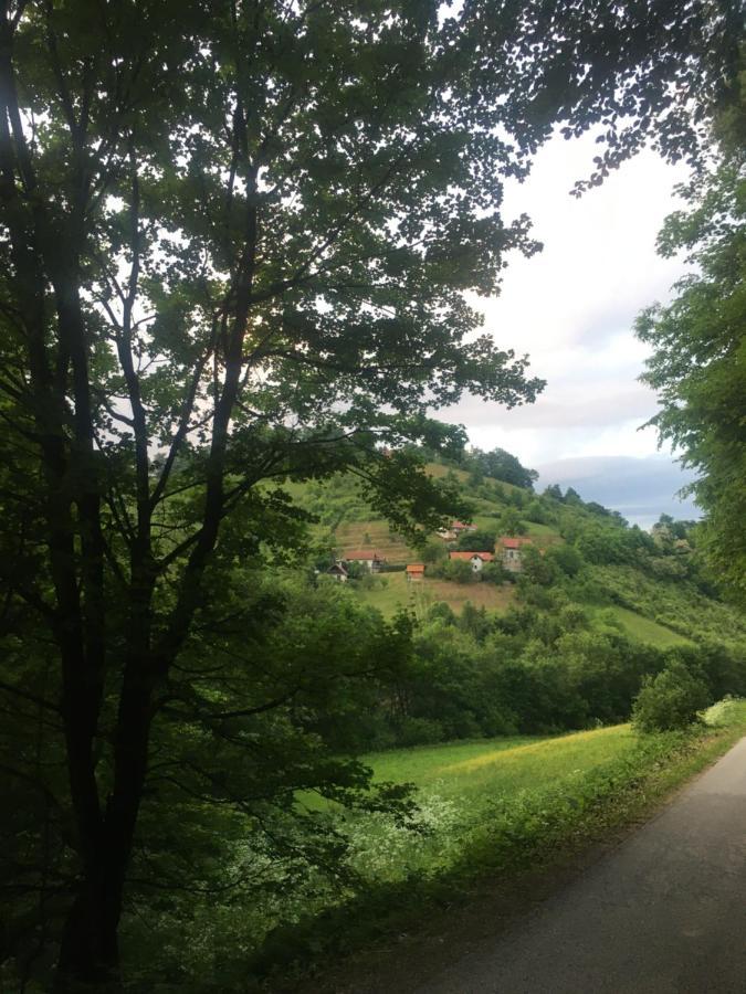 Nicehead Spacious Nest Between Maribor And Celje Loce pri Poljcanah Exterior foto