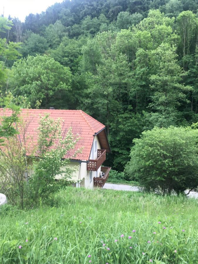 Nicehead Spacious Nest Between Maribor And Celje Loce pri Poljcanah Exterior foto