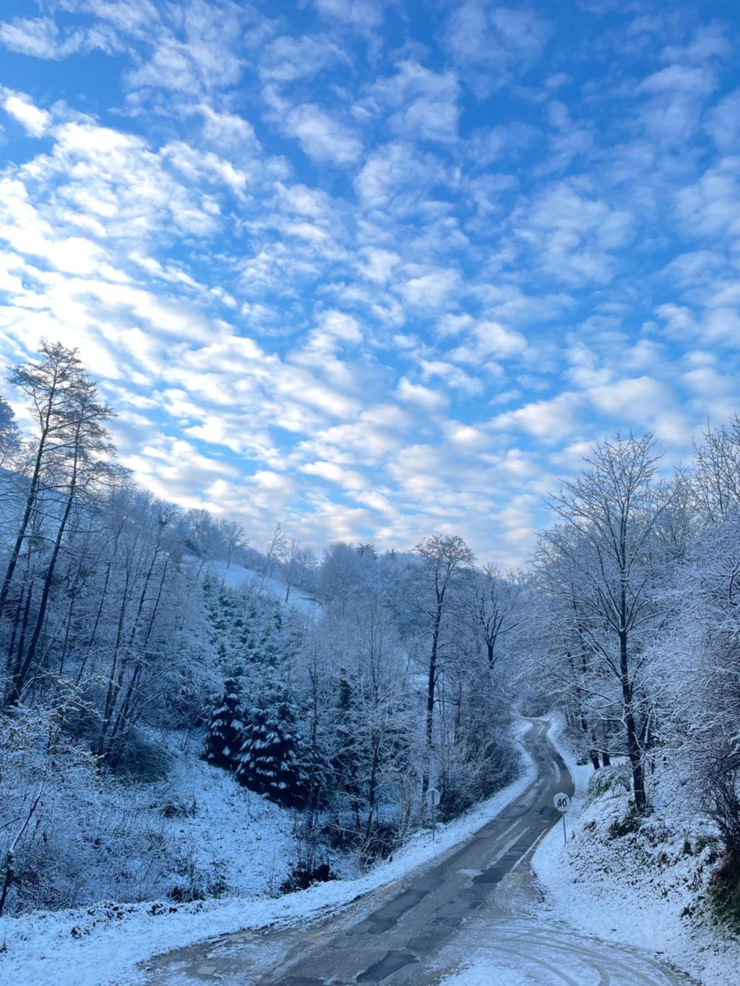 Nicehead Spacious Nest Between Maribor And Celje Loce pri Poljcanah Exterior foto